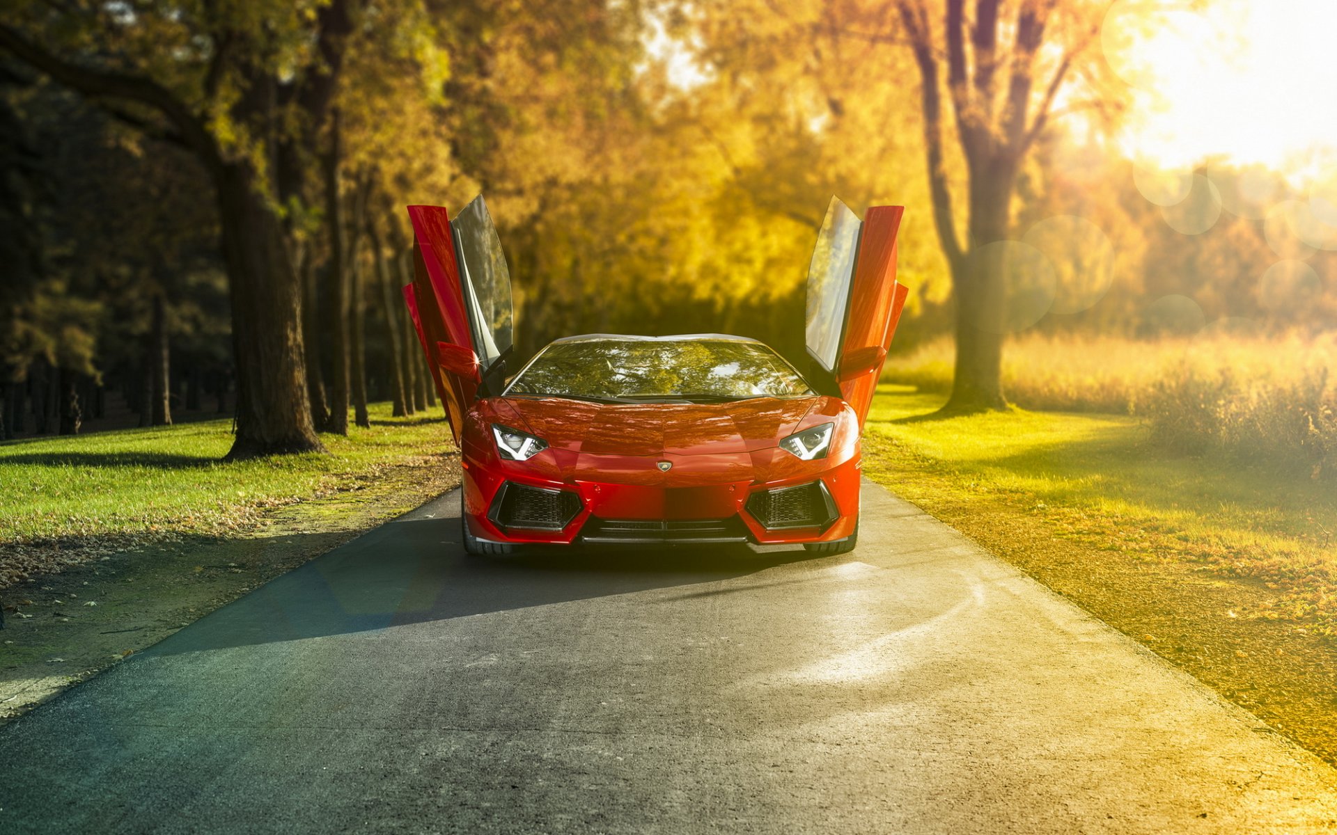 lamborghini aventador lp-700-4 roadster supercar lamborghini autoportrait lambo