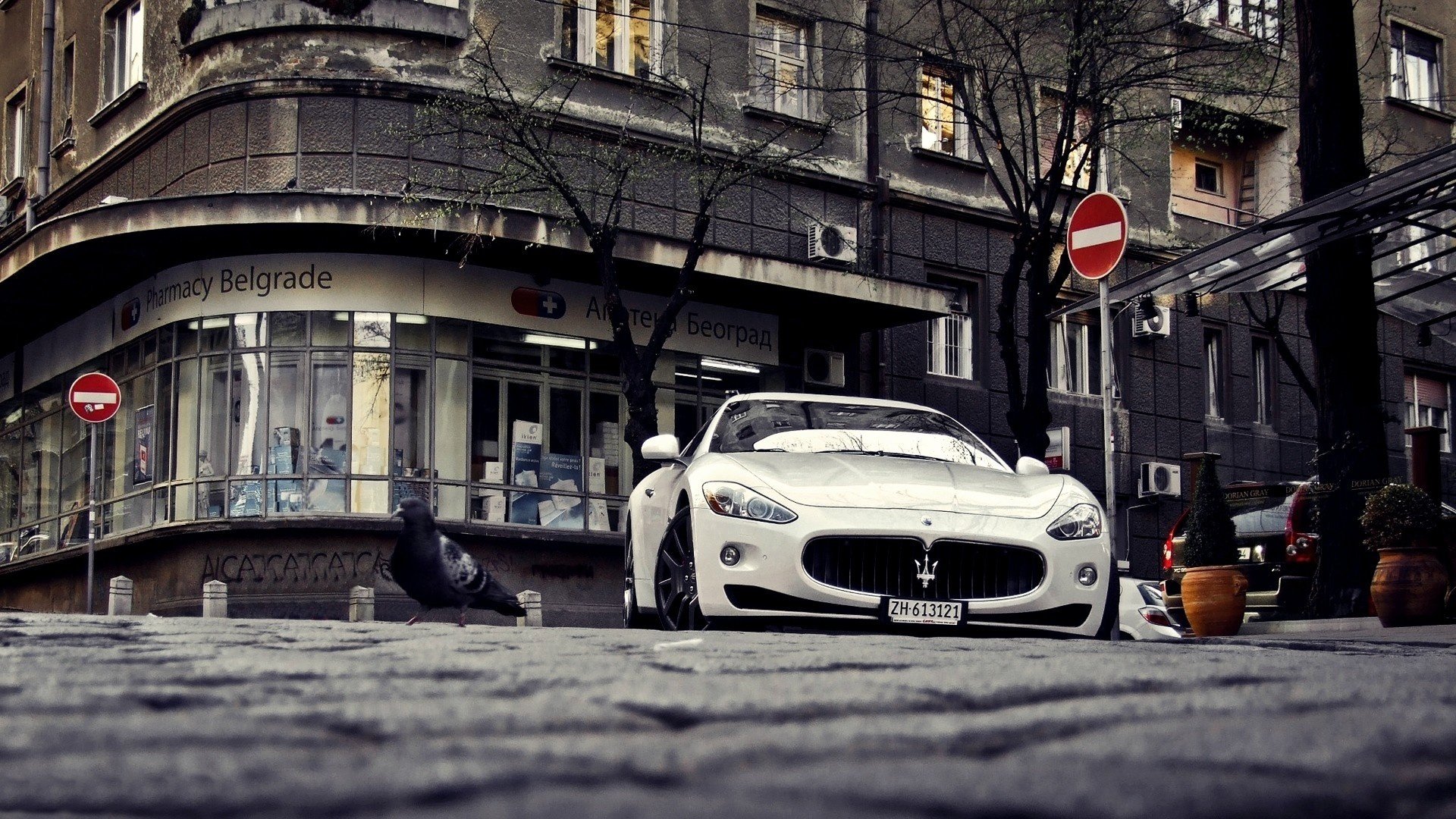 maserati granturismo bianco maserati bianco sportivo