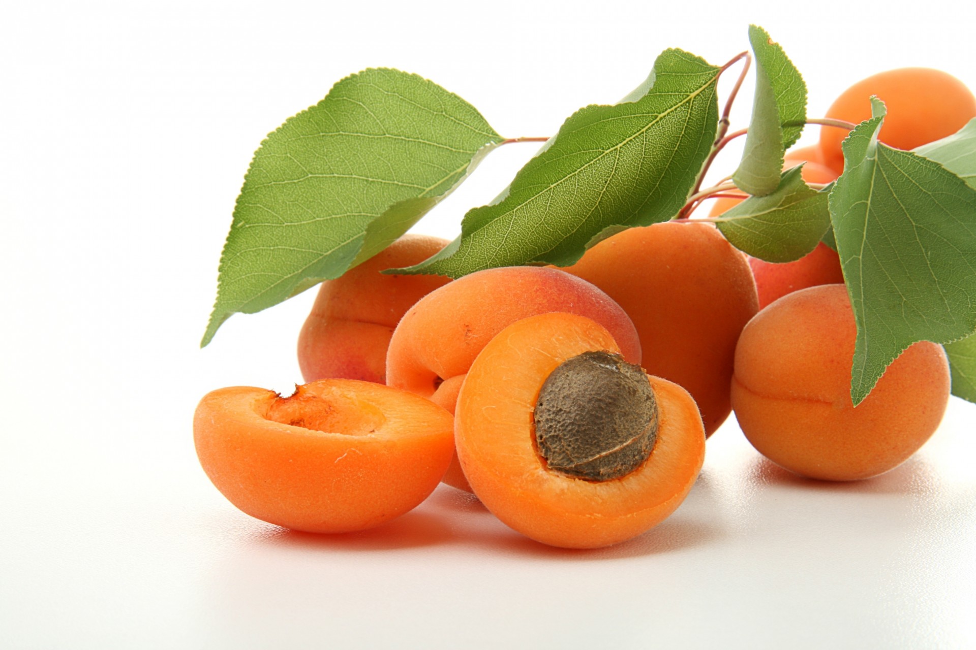 fruits feuille abricots branche