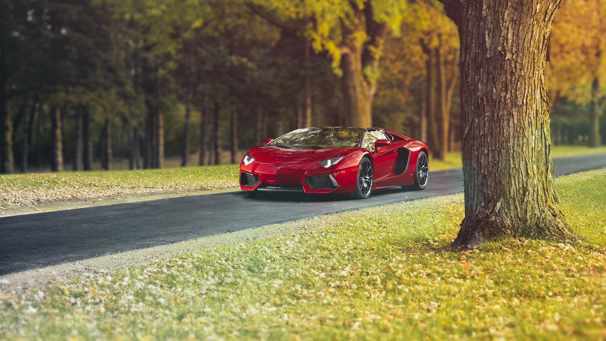 lamborghini aventador lp-700-4 roadster superdeportivo lamborghini fondos de pantalla hq