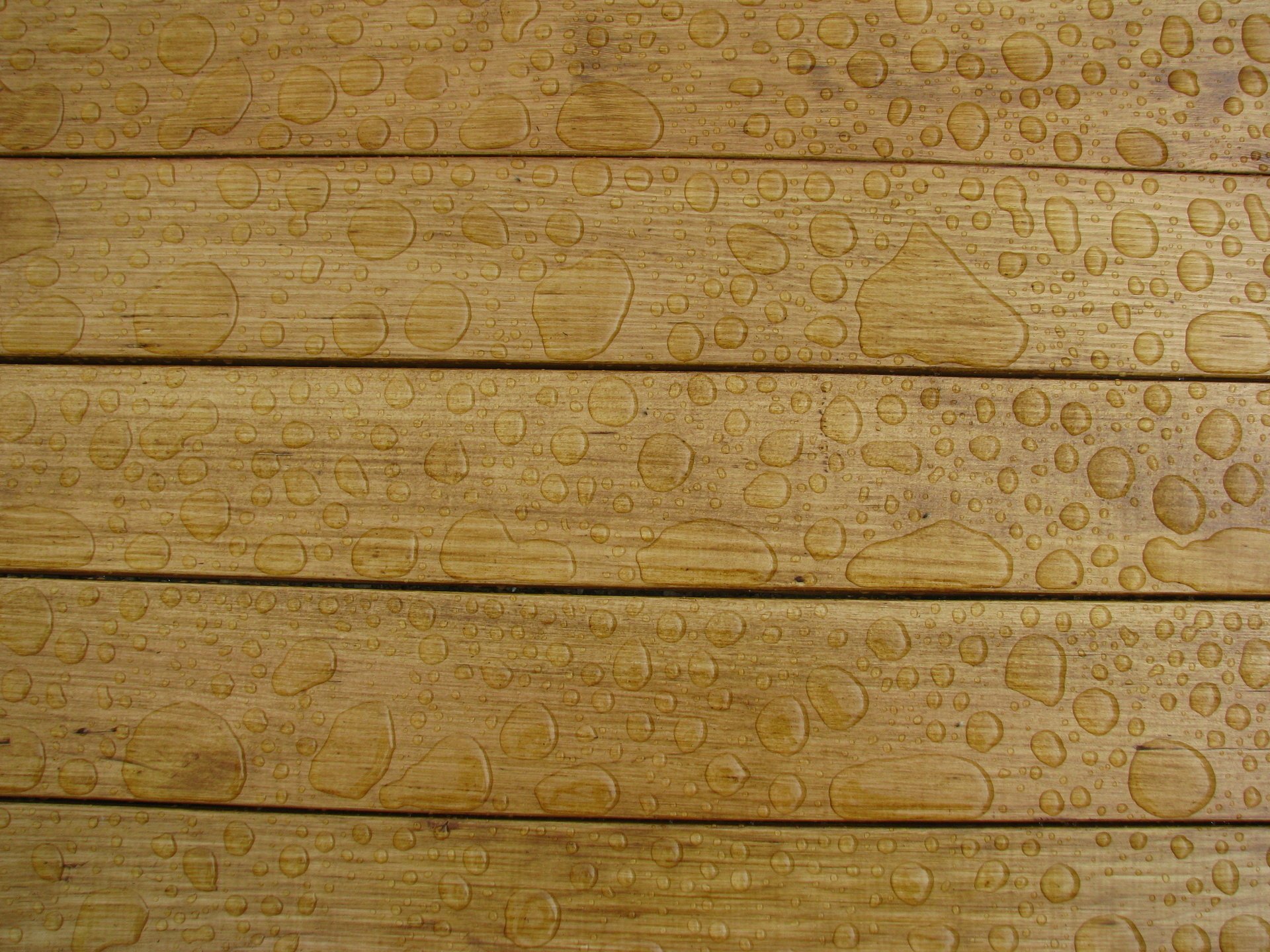 textur holz tropfen