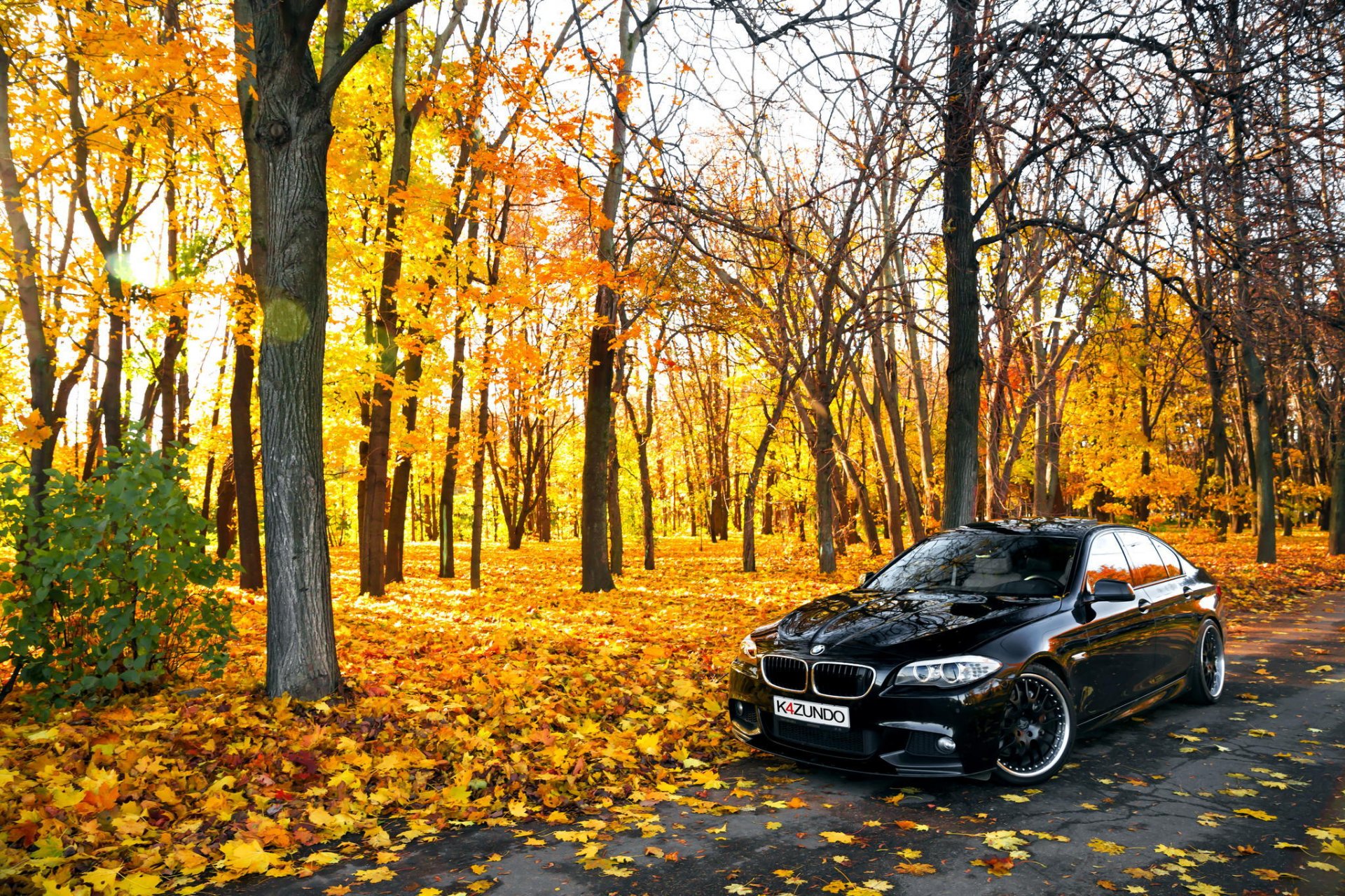 autumn bmw 550x f10 bmw black leave