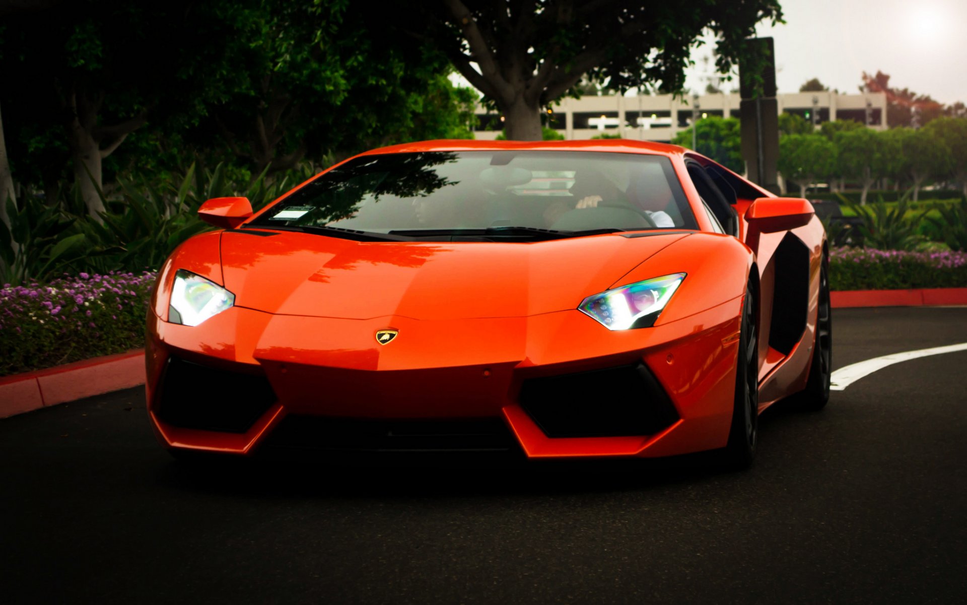 lamborghini aventador lp700-4 orange lamborghini aventador front scheinwerferlicht bäume reflexion