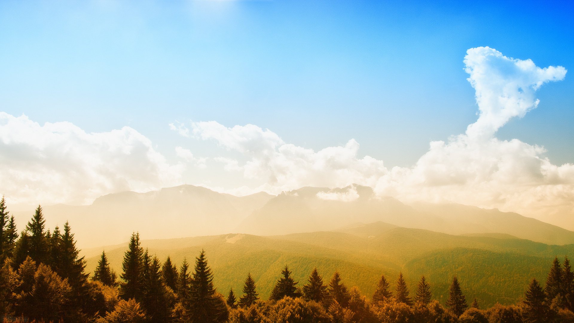 wald berge natur himmel grün sonne licht