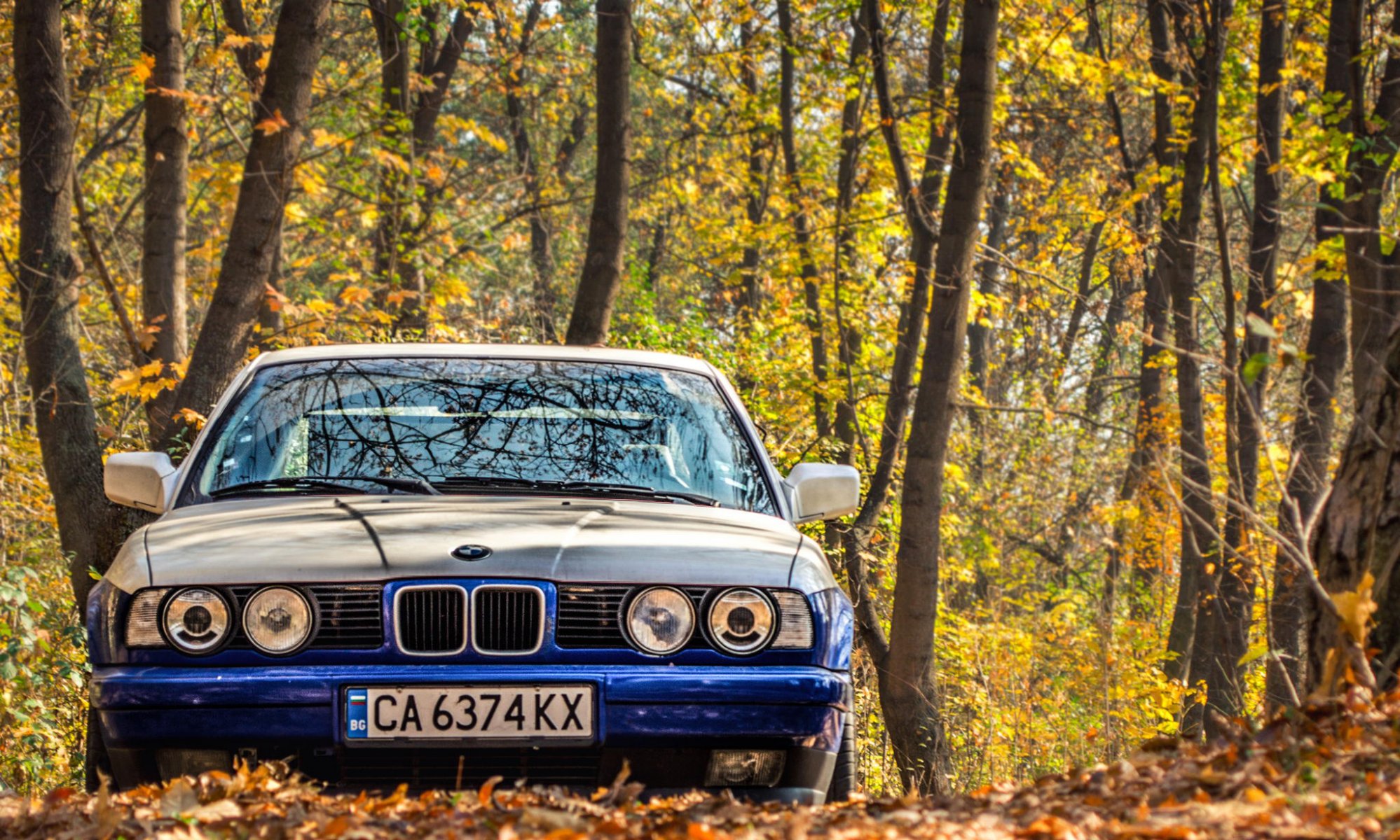 bmw e34 bmw clásico tuning hojas otoño faros