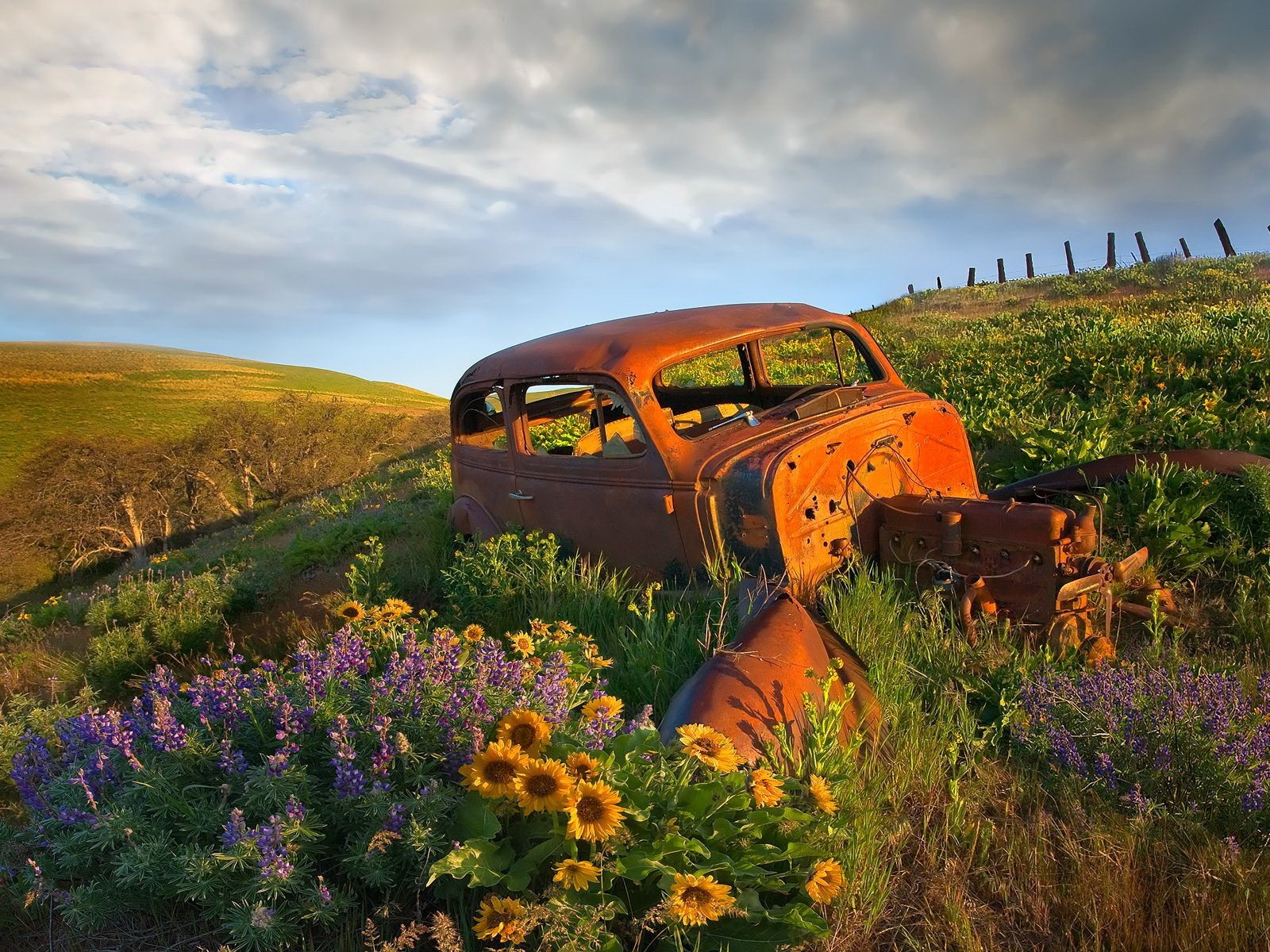 muerto coche flores