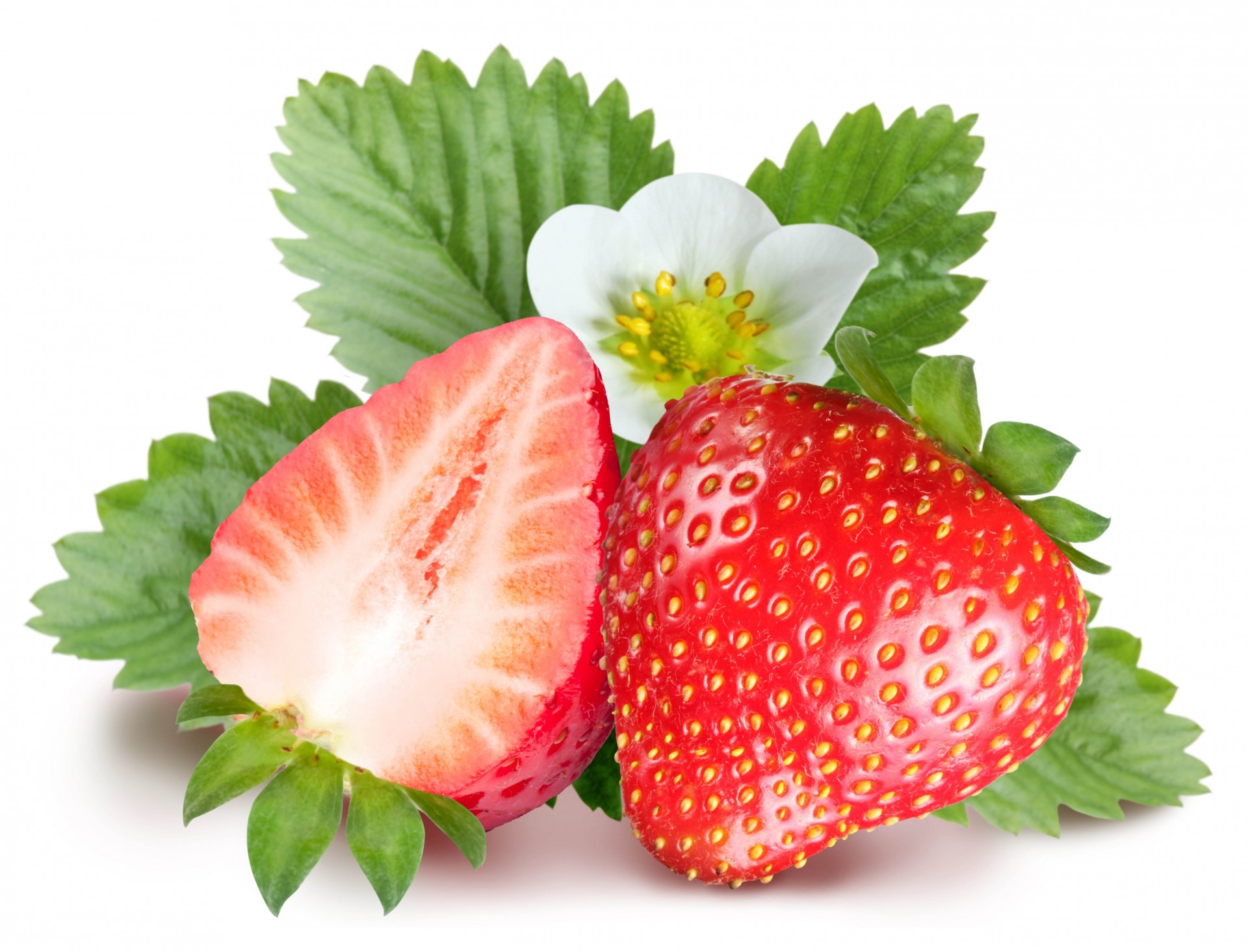 cut sheet white background strawberry flower