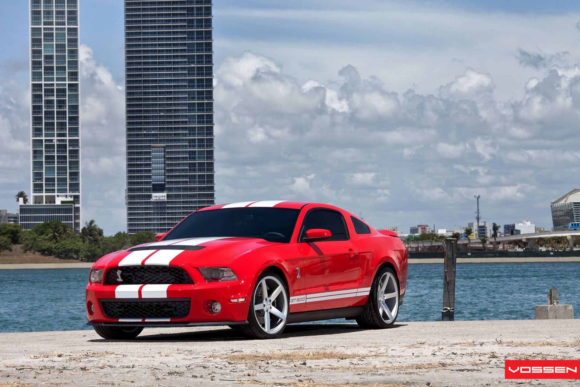 ford auto samochód shelby cobra gt500