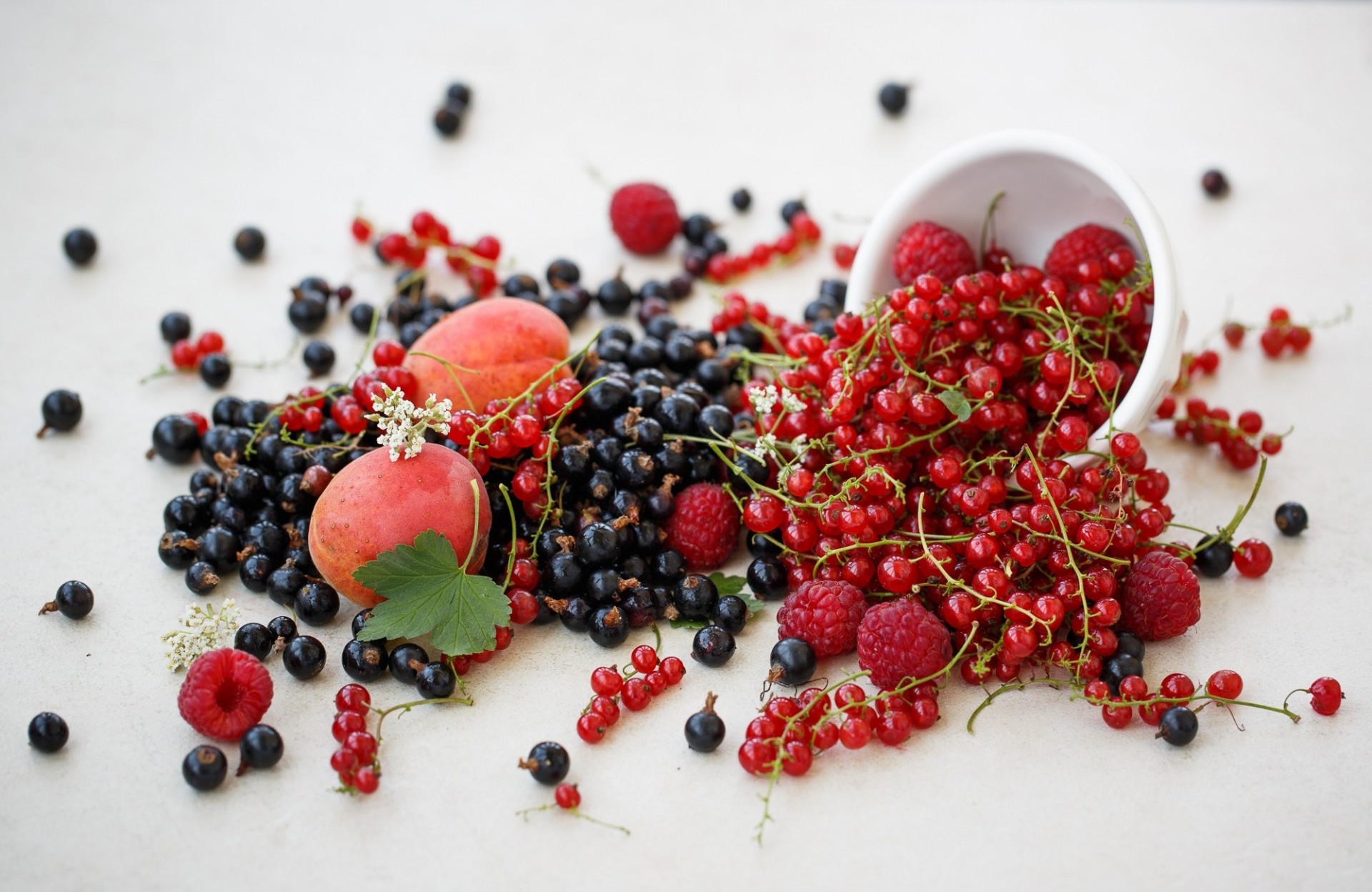 apricots berries raspberry currant