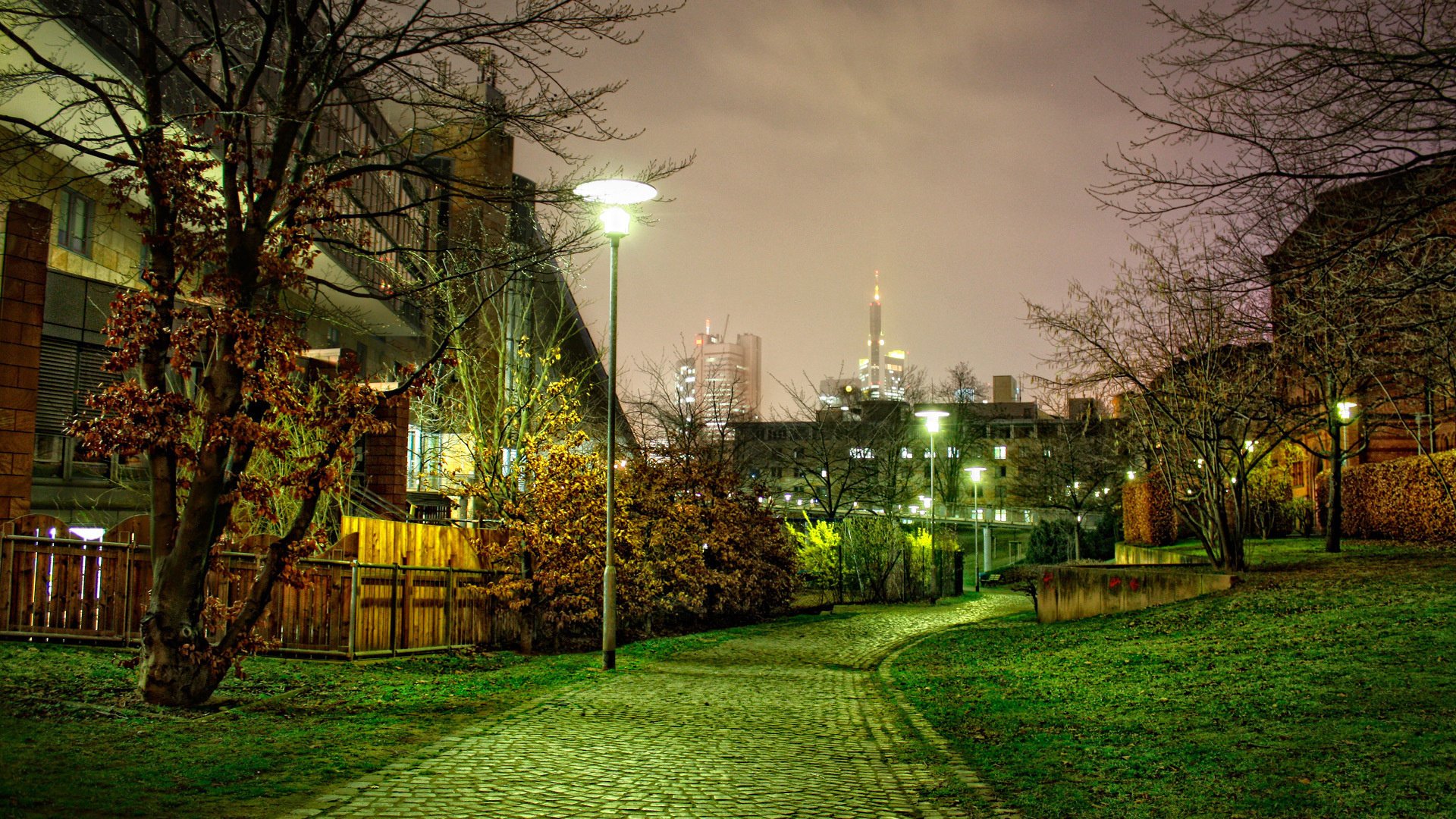 nature night street landscape track tree