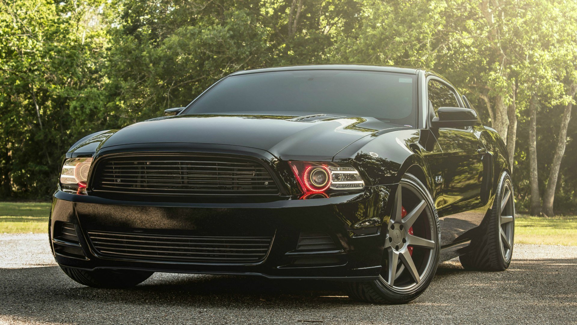 ford mustang gt nero muscle car