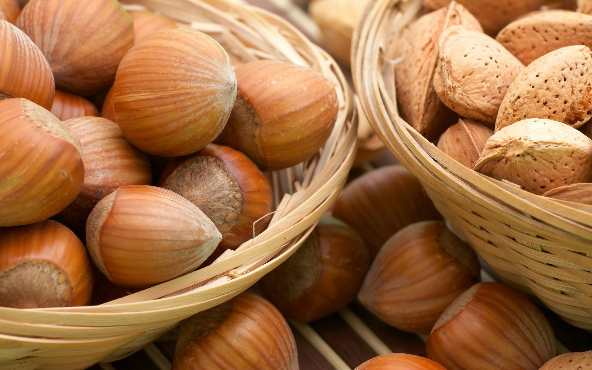 nueces delicioso bosque avellanas huesos