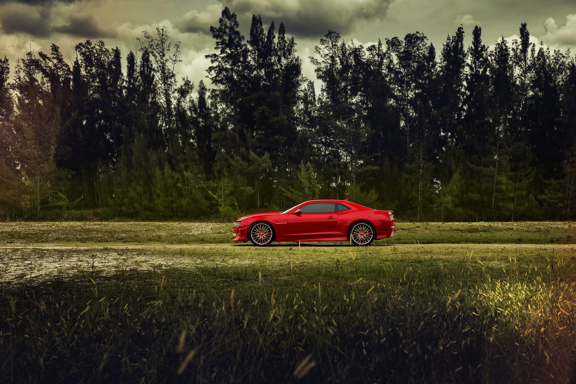 chevrolet camaro machine vehicles tree forest the field grass sky