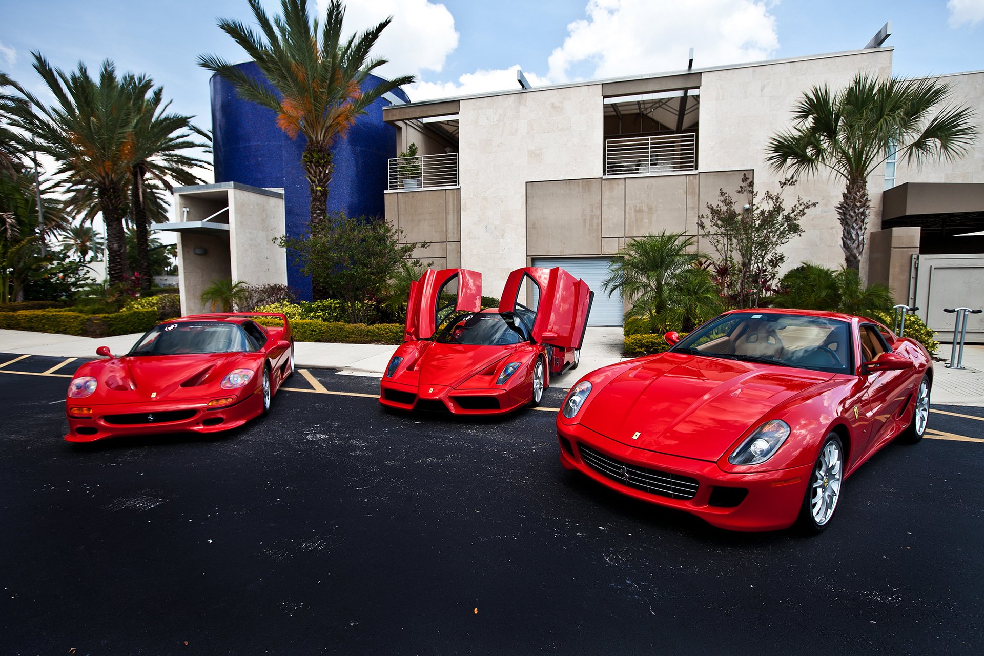 ferrari f50 enzo rot gebäude palm ferrari rot palmen