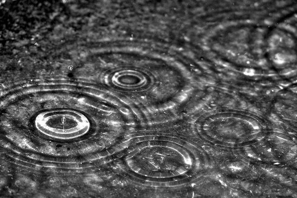 Macro shooting of raindrops