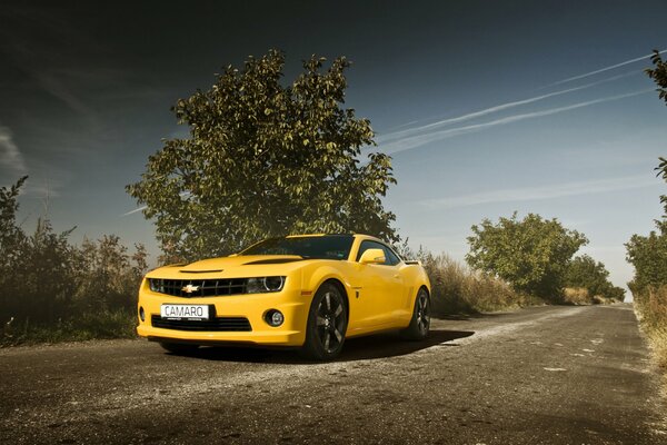 La chevrolet Camaro gialla guida su una strada abbandonata