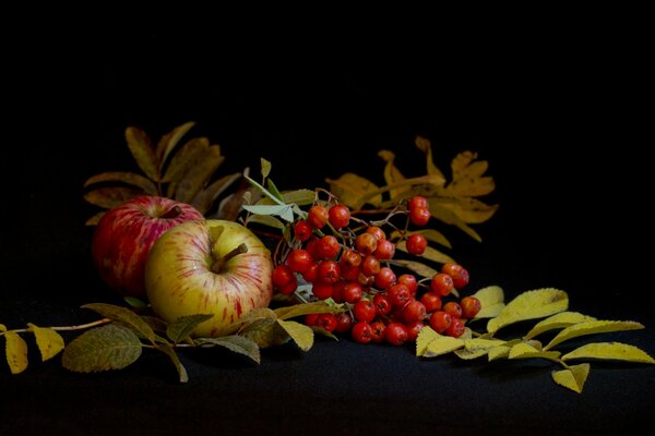 Stillleben von herbstlichen Vogelbeeren und knusprigen Äpfeln