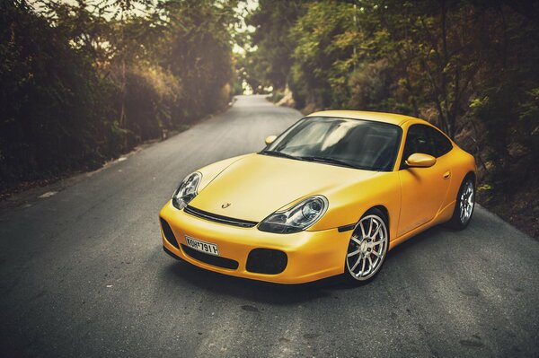 Giallo porsche carrera nella foresta estiva