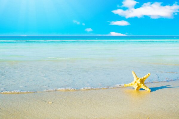 Turquoise sea horizon and white beach