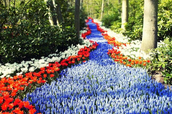 Flower road under the warm sun