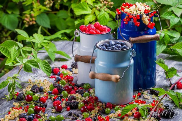 Berries collected in jars on the table