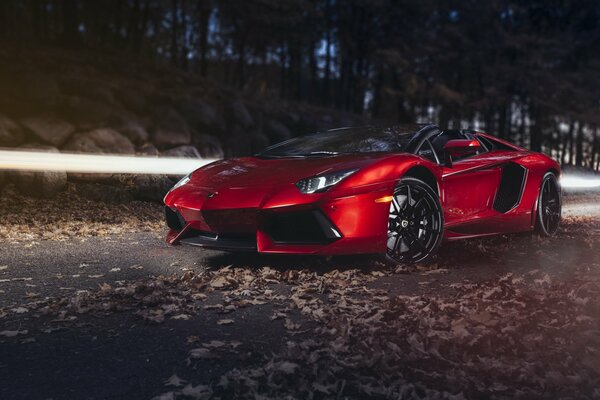 Lamborghini rossa sullo sfondo della strada autunnale