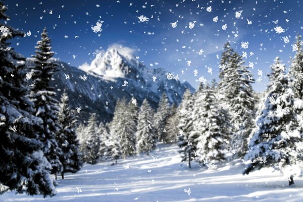 Snowfall in a snowy forest in the mountains