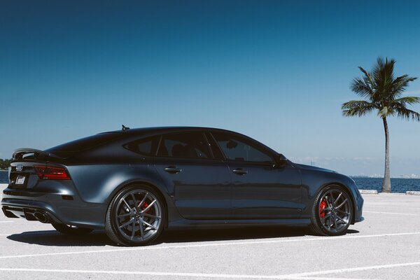 Vista de un Audi RS7 estacionado detrás de una palmera