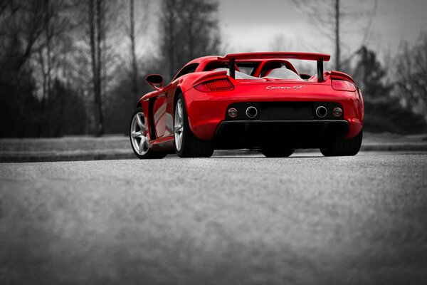 Red porsche carrera rear view