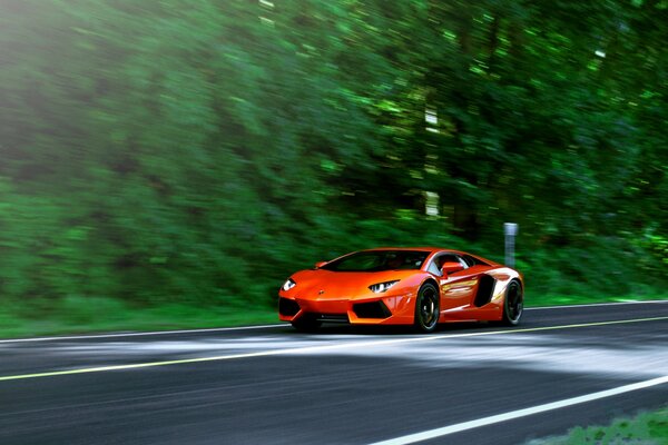 Une Lamborghini orange rapide sur la piste des arbres