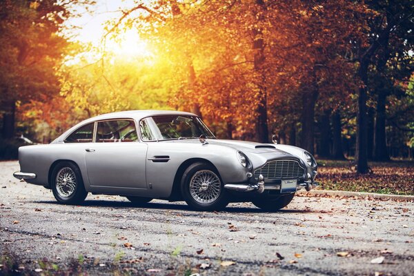 Grauer Aston Martin im Herbstwald