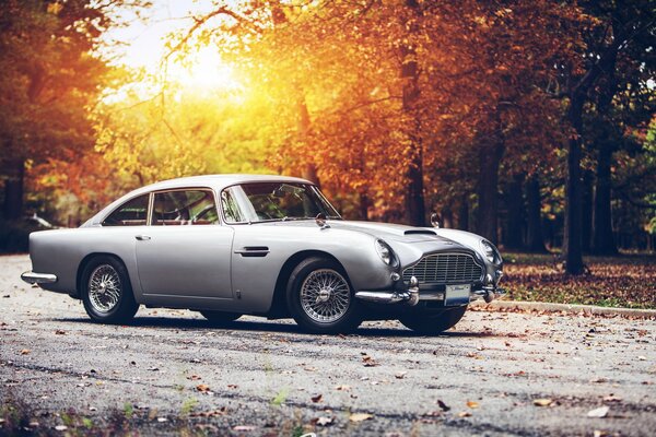 Szary Aston Martin w jesiennym lesie
