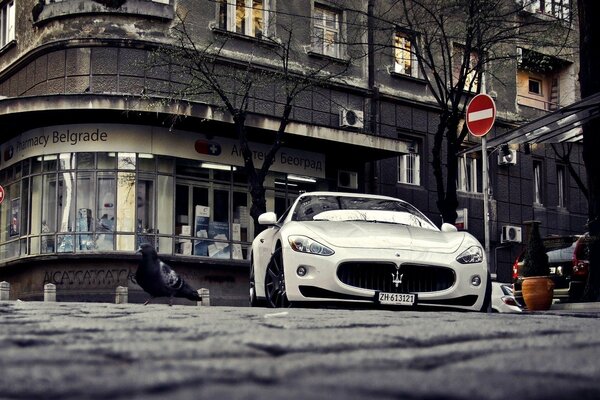 Blanco deportivo Maserati en el fondo de la ciudad