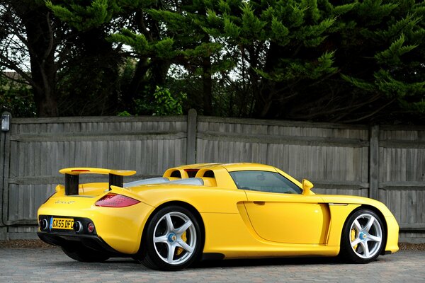 Porsche supercar jaune sur fond de verdure