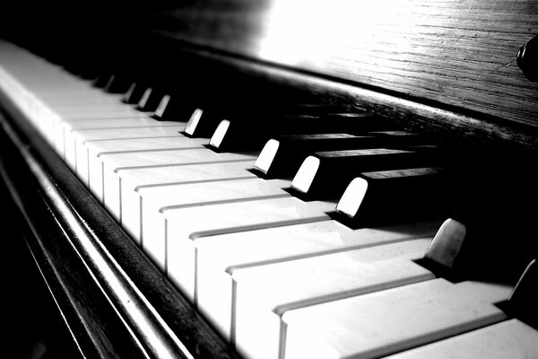 Teclas de piano en blanco y negro
