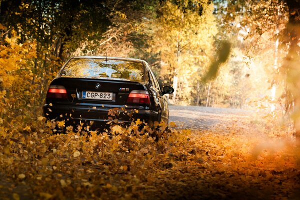 Ein Auto, das auf einer verlassenen Laubstraße fährt