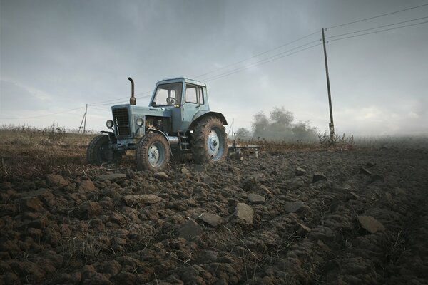 El tractor Belaruso procesa el campo para la siembra