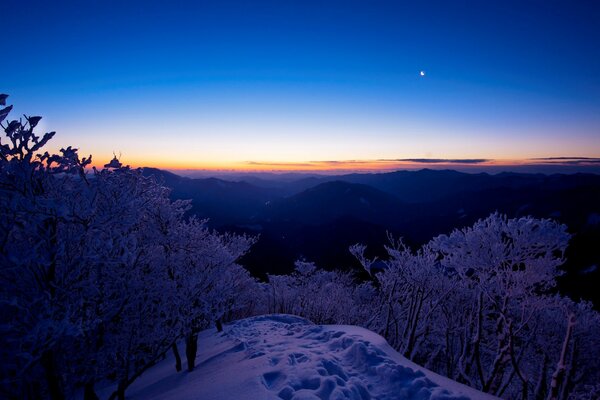 Winter landscape, forest sunset sky, snow