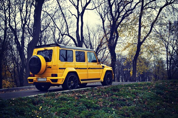 El SUV amarillo de Mercedes es muy adecuado para los tipos de otoño