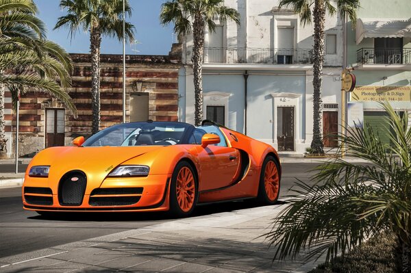 Draußen unter Palmen orange Bugatti