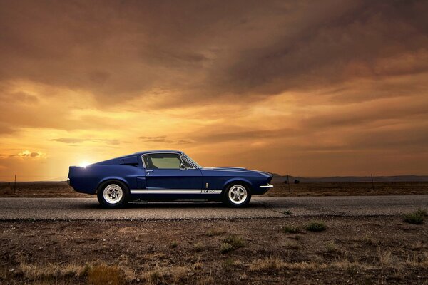 Sigius Mustang dans les rayons du coucher du soleil