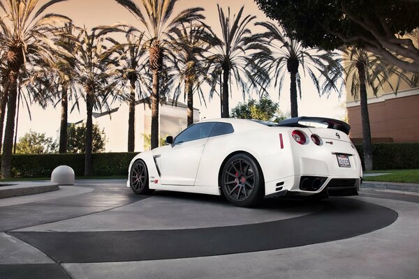 Nissan blanc garé dans la rue sous les palmiers