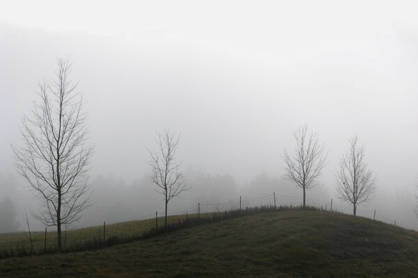 Nebliger Morgen im Dorf