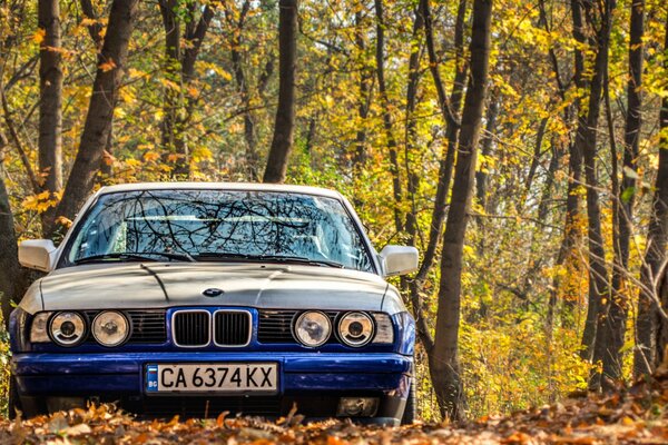 Auto mit schönen Scheinwerfern im Herbstpark