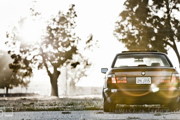 BMW car on a blurry background of trees