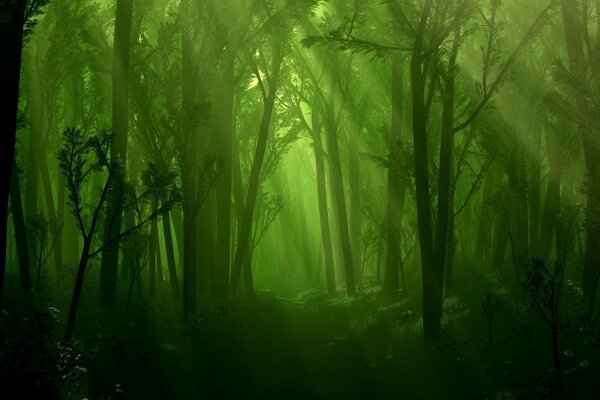 Bosque verde atmosférico con luz podrida