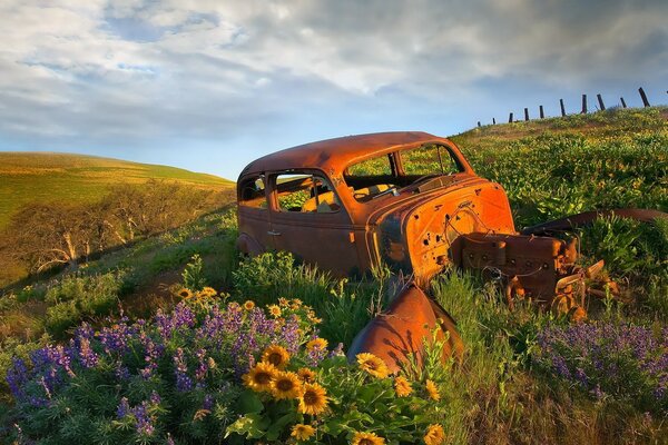 Voiture abandonnée en fleurs