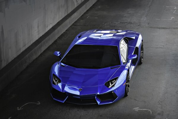 Blue Lamborghini top view