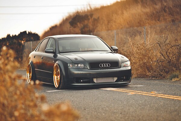 May audi a4 on the background of golden autumn