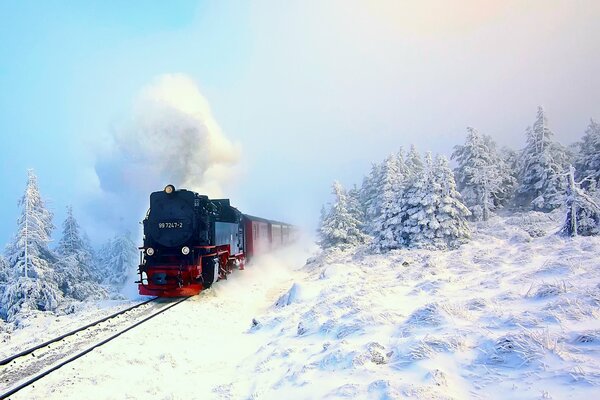 Locomotive sur rails dans la forêt d hiver